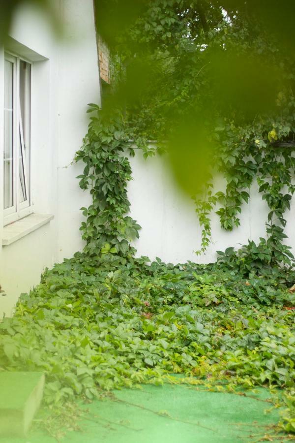 Hostel Magic Garden *